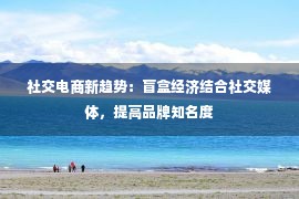 社交电商新趋势：盲盒经济结合社交媒体，提高品牌知名度