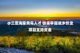 @三亚海棠青年人才 快来申报返乡创业项目支持资金