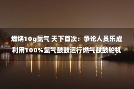 燃烧10g氢气 天下首次：争论人员乐成利用100%氢气鼓鼓运行燃气鼓鼓轮机