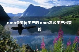 nmn是如何生产的 nmn怎么生产出来的