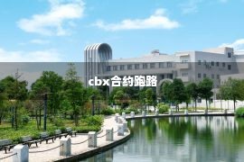 cbx合约跑路