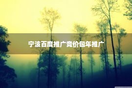 宁波百度推广竞价包年推广