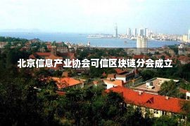 北京信息产业协会可信区块链分会成立