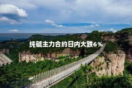 纯碱主力合约日内大跌6%