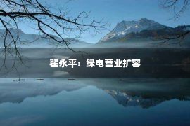 翟永平：绿电营业扩容