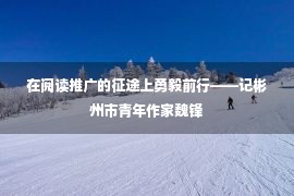 在阅读推广的征途上勇毅前行——记彬州市青年作家魏锋