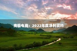 南极电商：2022年度净利润约