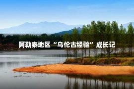 阿勒泰地区“乌伦古经验”成长记