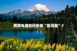 跨境电商如何穿越“新周期”？