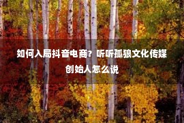 如何入局抖音电商？听听孤狼文化传媒创始人怎么说