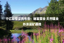 千亿巨擘深宵布告：堵塞营业 天齐锂业外洋买矿遇挫