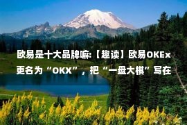 欧易是十大品牌嘛:【趣读】欧易OKEx更名为“OKX”，把“一盘大棋”写在脸上了！