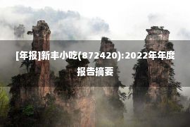 [年报]新丰小吃(872420):2022年年度报告摘要