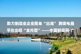 助力制造业企业简单“出海” 跨境电商平台出招“全托管”——中国新闻网·广东