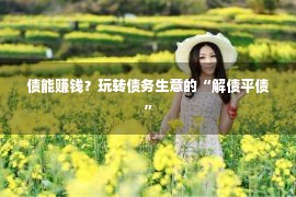 债能赚钱？玩转债务生意的“解债平债”