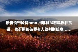 最低价格原料nmn 用非食品材料损耗食品、作歹网络破费者人脸判别信息……上海颁布“铁拳”步履第二批规范案例