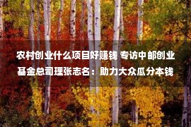 农村创业什么项目好赚钱 专访中邮创业基金总司理张志名：助力大众瓜分本钱墟市发展结果 勇作高质量繁华排头兵