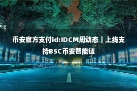 币安官方支付id:IDCM周动态｜上线支持BSC币安智能链