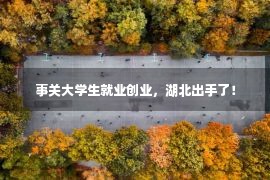 事关大学生就业创业，湖北出手了！