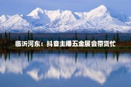 临沂河东：抖音主播五金展会带货忙