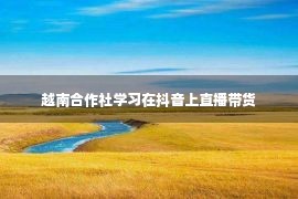 越南合作社学习在抖音上直播带货