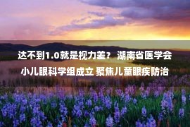 达不到1.0就是视力差？ 湖南省医学会小儿眼科学组成立 聚焦儿童眼疾防治