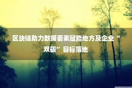 区块链助力数据要素赋能地方及企业“双碳”目标落地