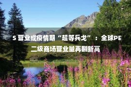 Ｓ营业成疫情期“超等兵戈” ：全球PE二级商场营业量再翻新高