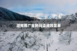 湖南推广全民阅读成效显著