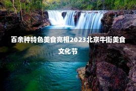 百余种特色美食亮相2023北京牛街美食文化节