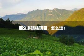 那么多赚钱项目，怎么选？