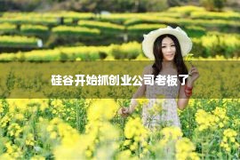 硅谷开始抓创业公司老板了