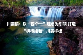 川姜镇：以“四个一”理念为引领 打造“枫桥经验”川姜样板