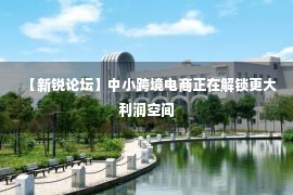 【新锐论坛】中小跨境电商正在解锁更大利润空间