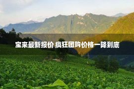 宝来最新报价 疯狂团购价格一降到底