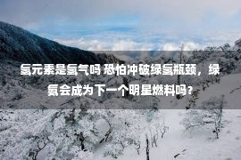 氢元素是氢气吗 恐怕冲破绿氢瓶颈，绿氨会成为下一个明星燃料吗？