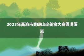 2023年商洛市秦岭山珍美食大赛圆满落幕