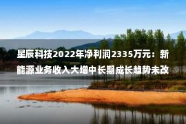 星辰科技2022年净利润2335万元：新能源业务收入大增中长期成长趋势未改