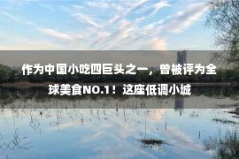 作为中国小吃四巨头之一，曾被评为全球美食NO.1！这座低调小城