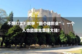 不想打工？就学“新个体创业”：一个人也能做生意赚大钱！