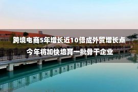 跨境电商5年增长近10倍成外贸增长点 今年将加快培育一批骨干企业