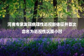 河南专家发现病理性近视新体征并首次命名为近视性巩膜小凹