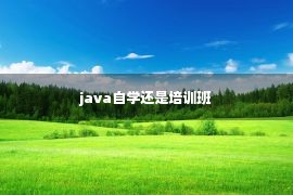 java自学还是培训班