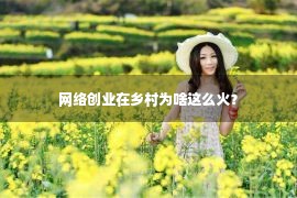 网络创业在乡村为啥这么火？