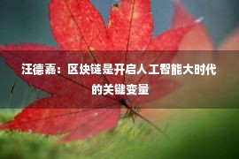 汪德嘉：区块链是开启人工智能大时代的关键变量