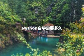 Python自学需要多久