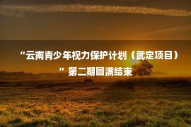 “云南青少年视力保护计划（武定项目）”第二期圆满结束