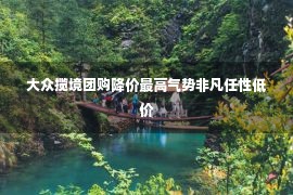 大众揽境团购降价最高气势非凡任性低价