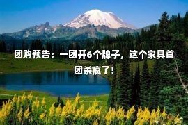 团购预告：一团开6个牌子，这个家具首团杀疯了！