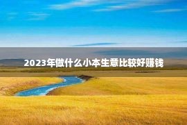 2023年做什么小本生意比较好赚钱